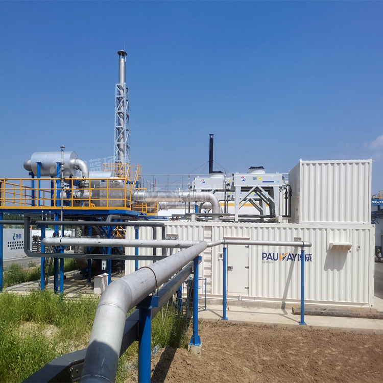 萬純SCR脫硝工程-餐廚垃圾沼氣發(fā)電機(jī)組脫硝