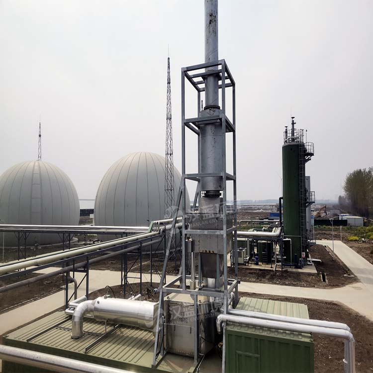 生物發(fā)電配脫硝 共衛(wèi)藍天空氣新 ——萬純生物質沼氣發(fā)電機組脫硝系統(tǒng)在某地運行