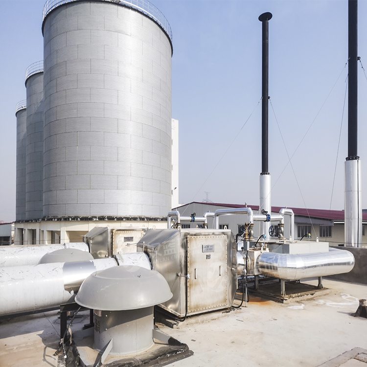 萬純系列煙氣凈化設備-沼氣發電機組脫硝系統